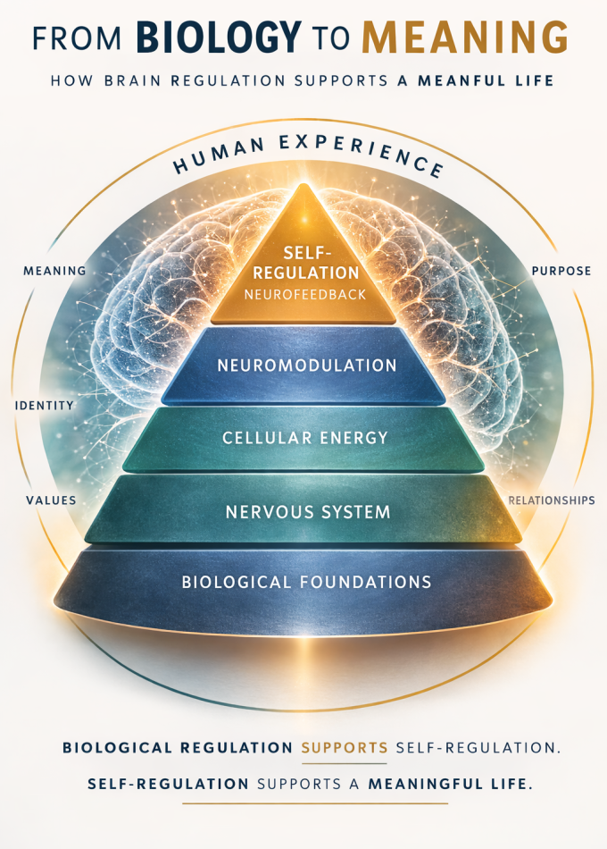 What Is A Balanced Brain? Calm, Focus & Flexibility